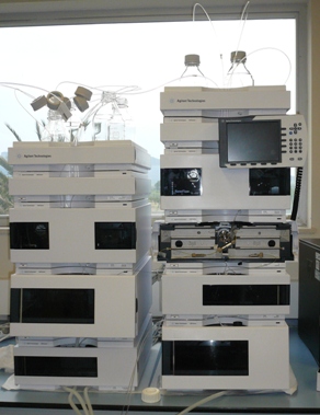 CL 1200 agil